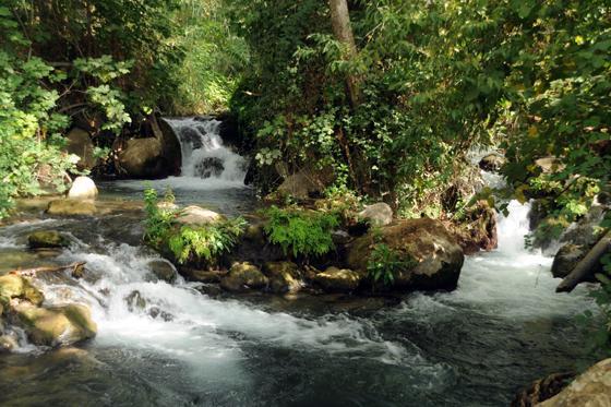 Мотель Magical In The Galilee Кирьят-Шмона Экстерьер фото