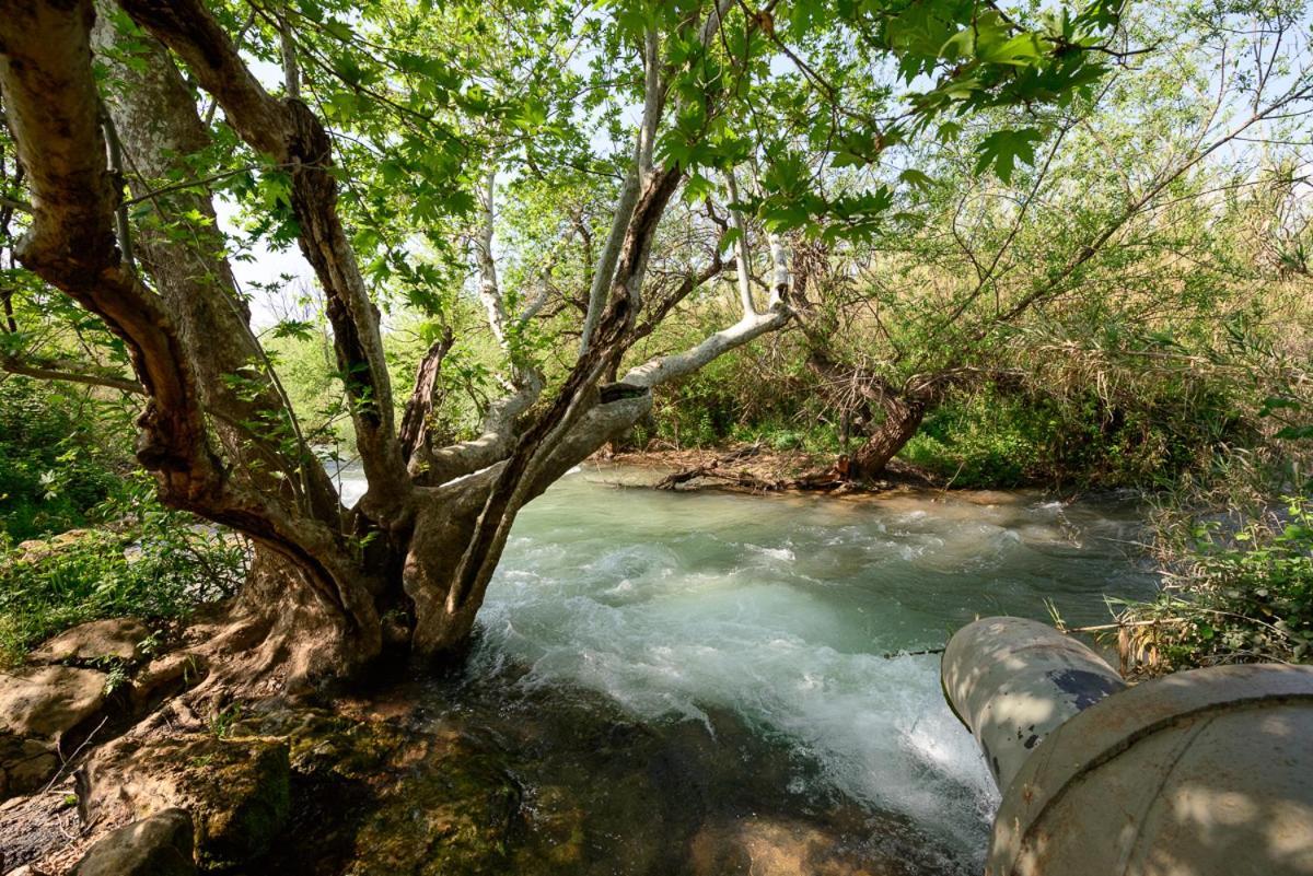 Мотель Magical In The Galilee Кирьят-Шмона Экстерьер фото